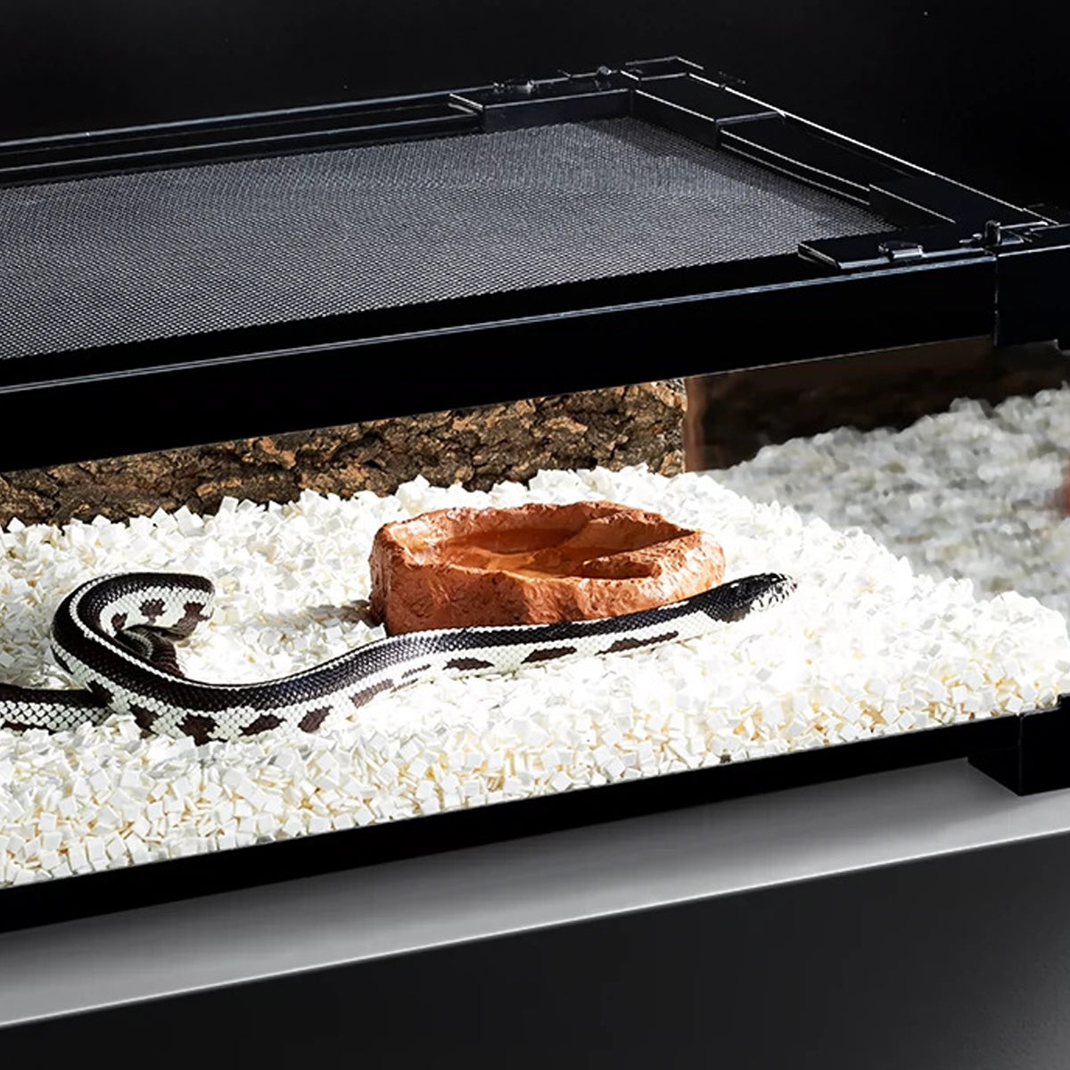Reptile Bedding Blocks for Snake Tank Substrate