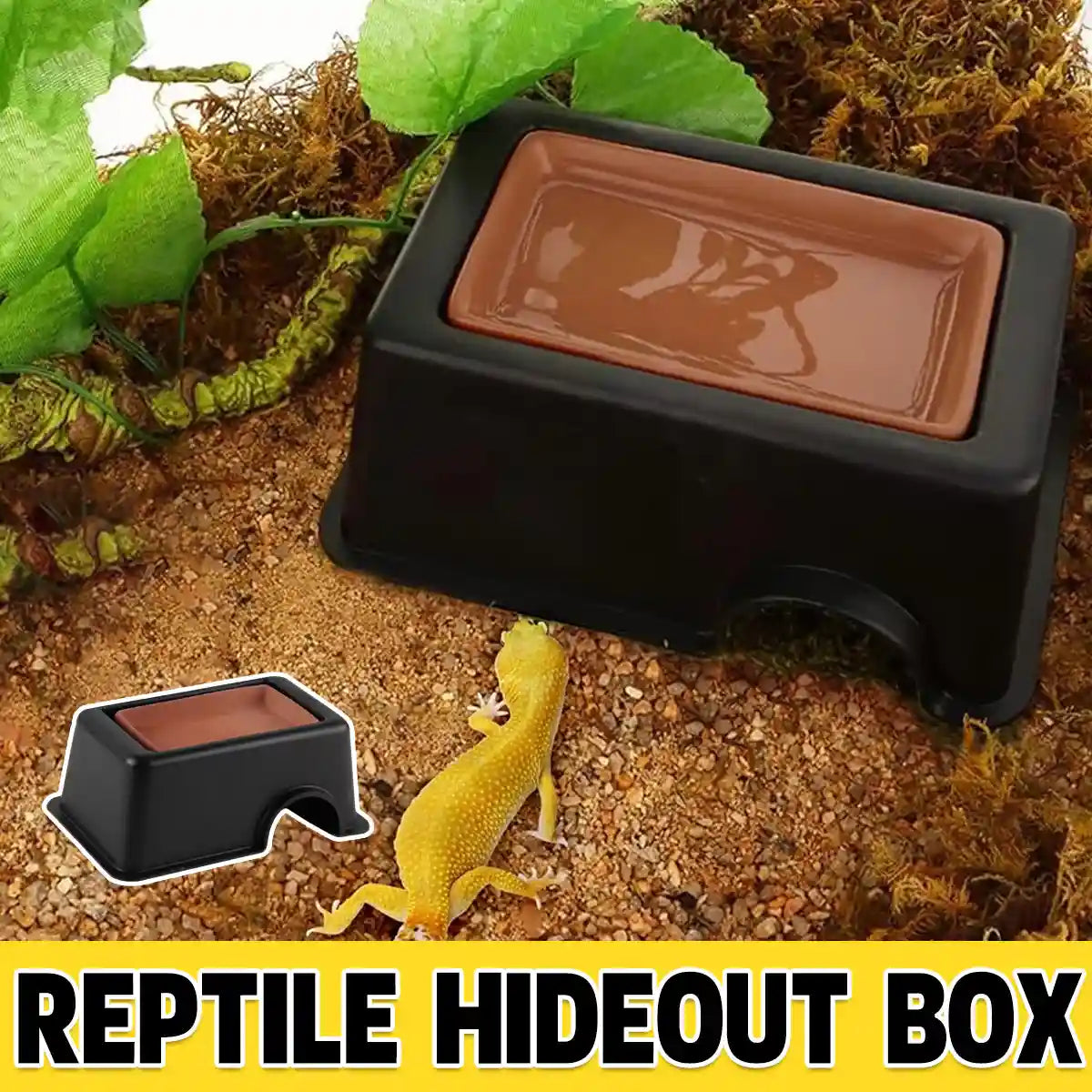 Reptile Cave Moist Humid Shelter for Leopard Gecko & Small Pets