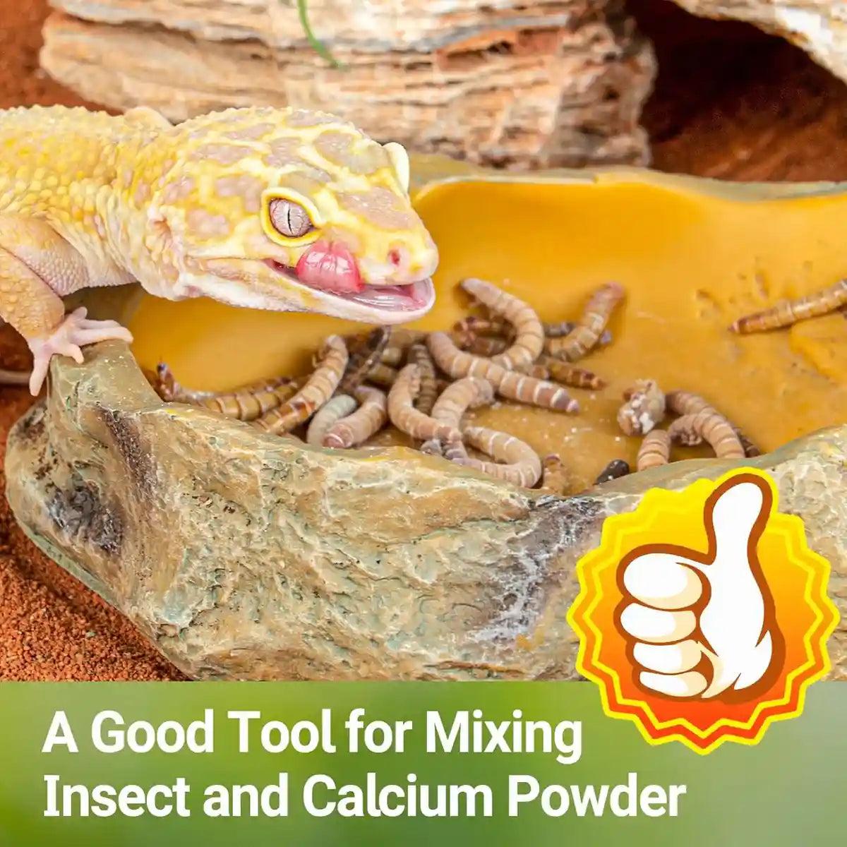 Cricket Calcium Powder Mixer