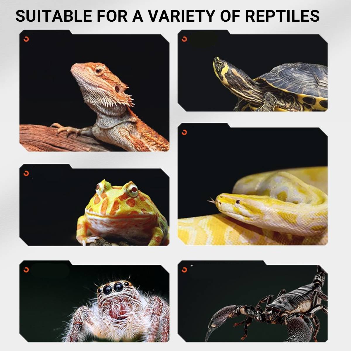 Reptile Basking Lamp - Full Spectrum Turtle Heat Lamp