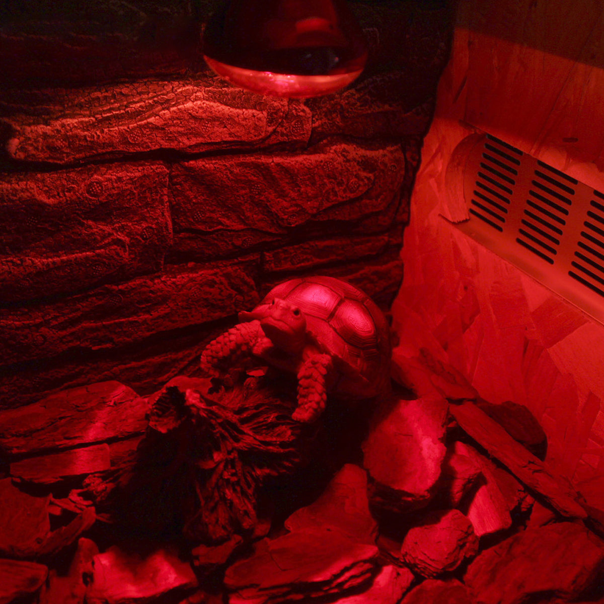 Reptile Heat Lamp Red Infrared Terrarium Heating Bulb