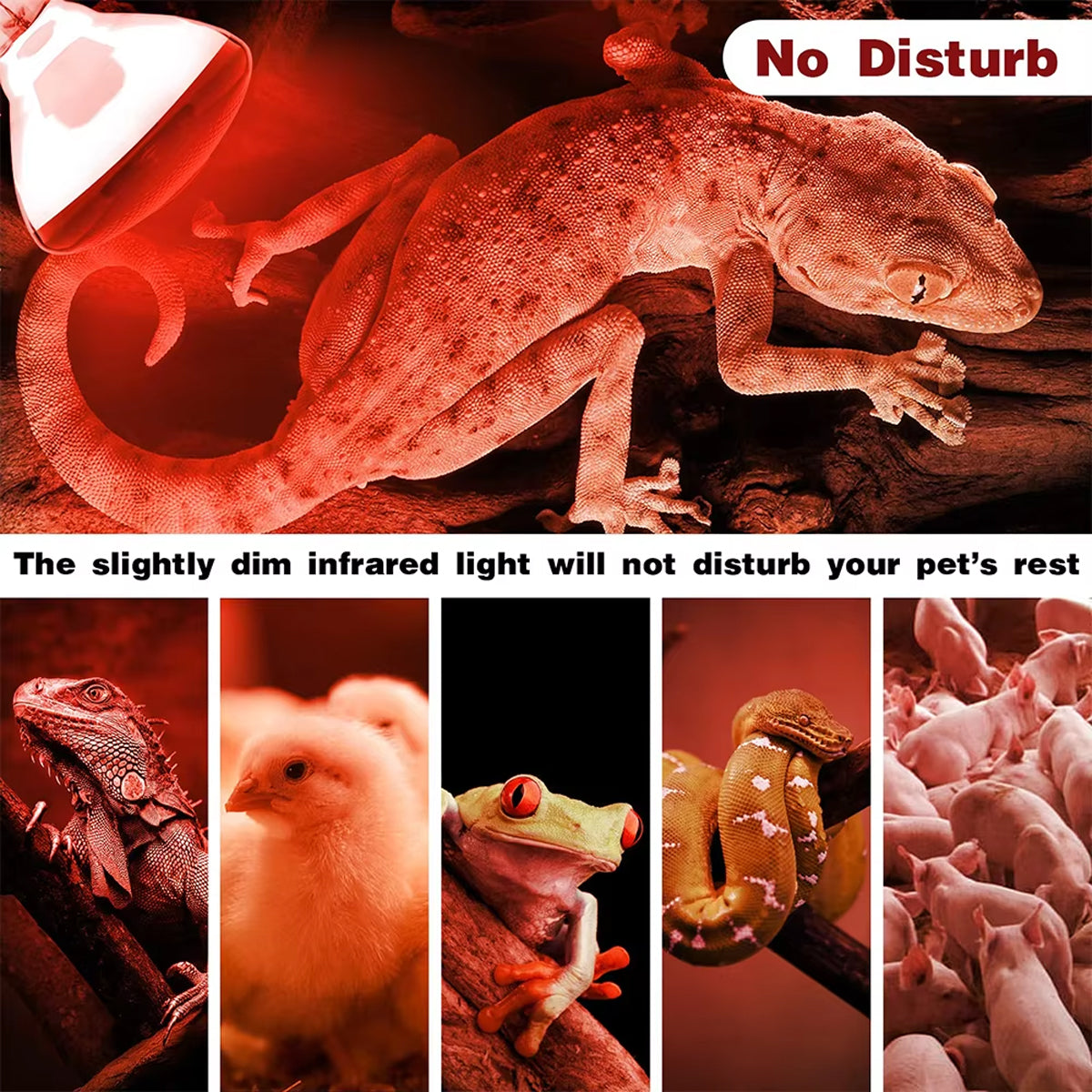 Reptile Heat Lamp Red Infrared Terrarium Heating Bulb