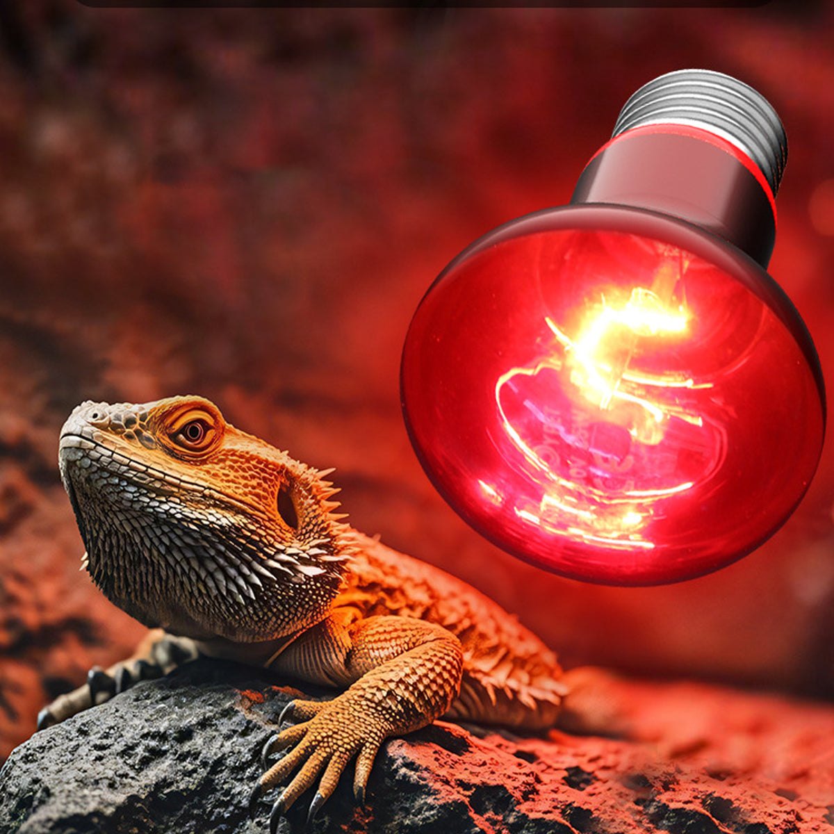 Reptile Heat Lamp Red Infrared Terrarium Heating Bulb