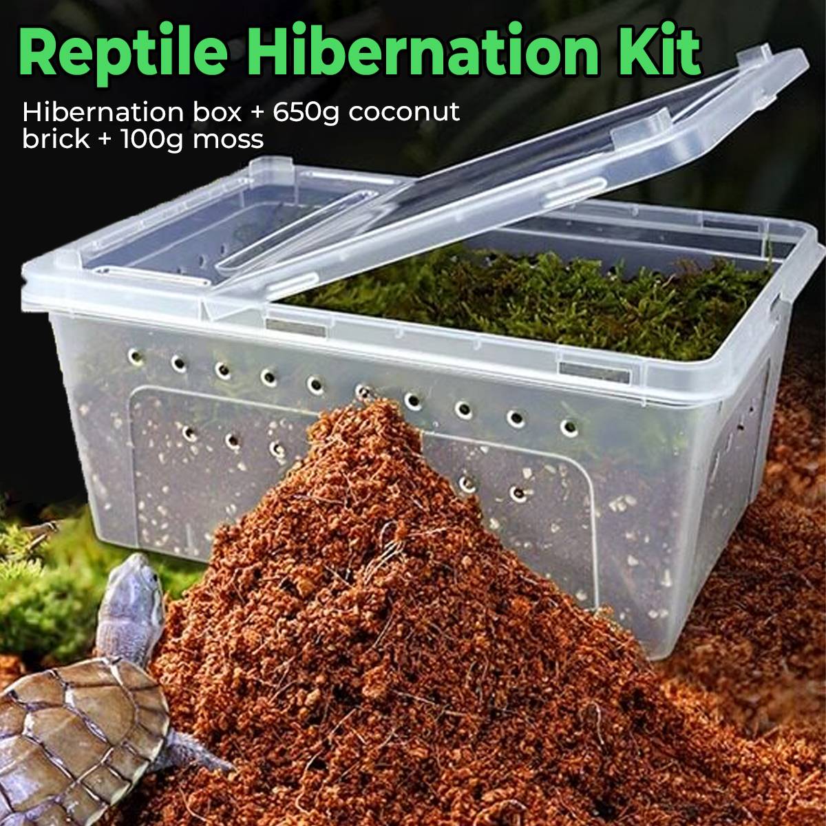 Tortoise Hibernation Set - Coconut Soil Reptile Terrarium Kit (L)