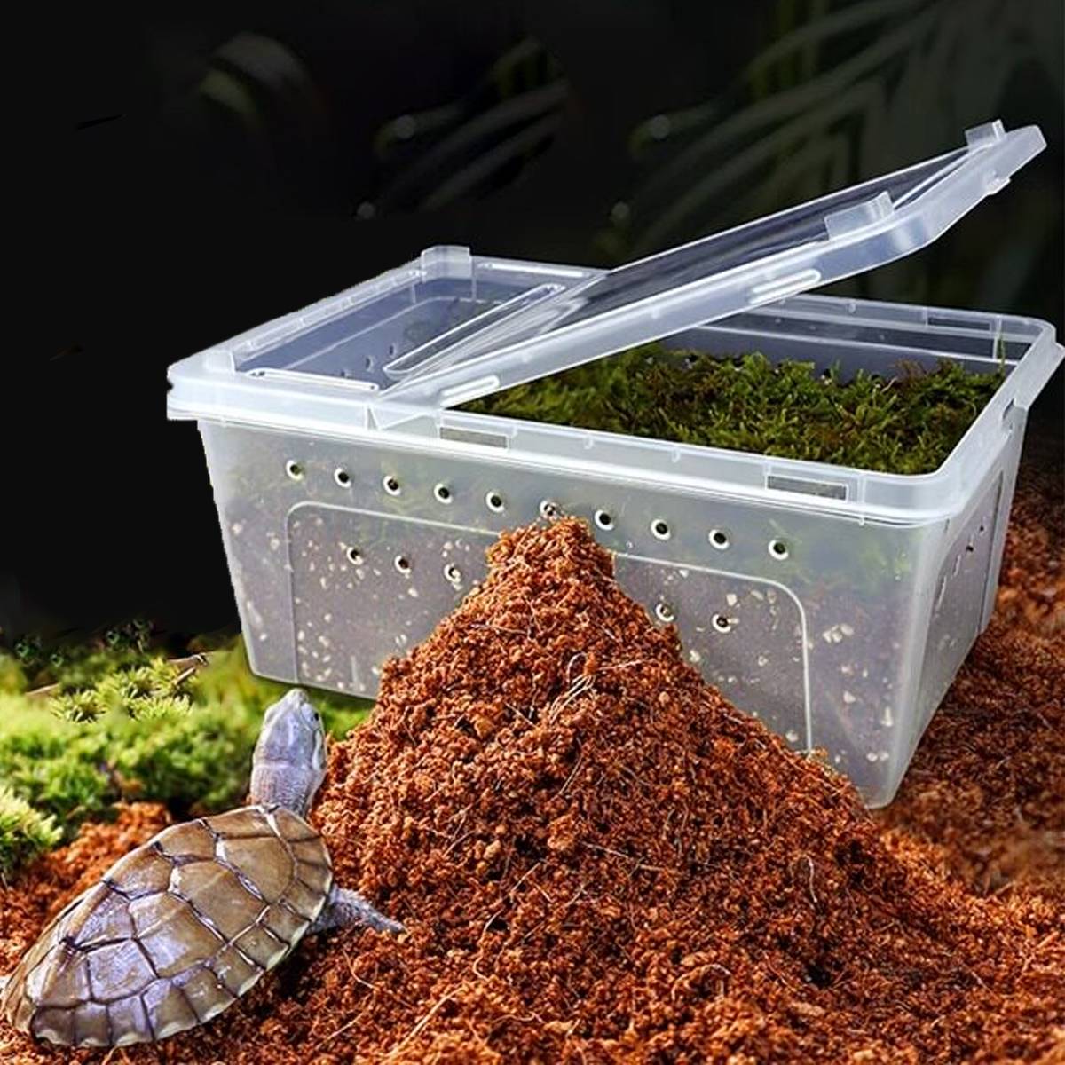 Tortoise Hibernation Set - Coconut Soil Reptile Terrarium Kit (L)