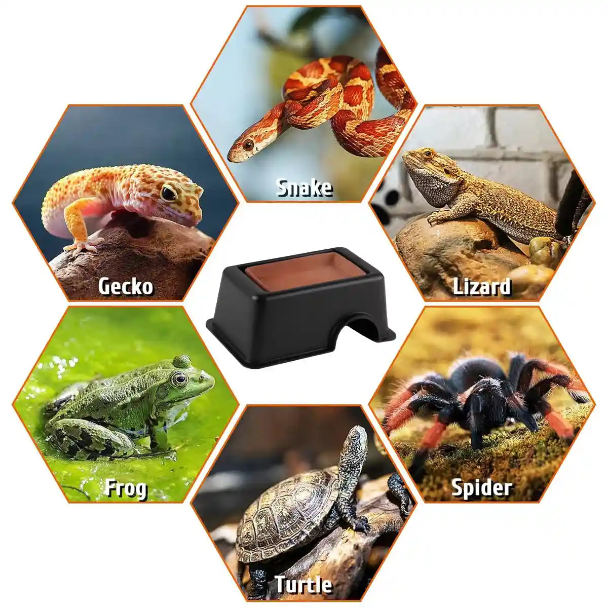 Reptile Cave Moist Humid Shelter for Leopard Gecko & Small Pets