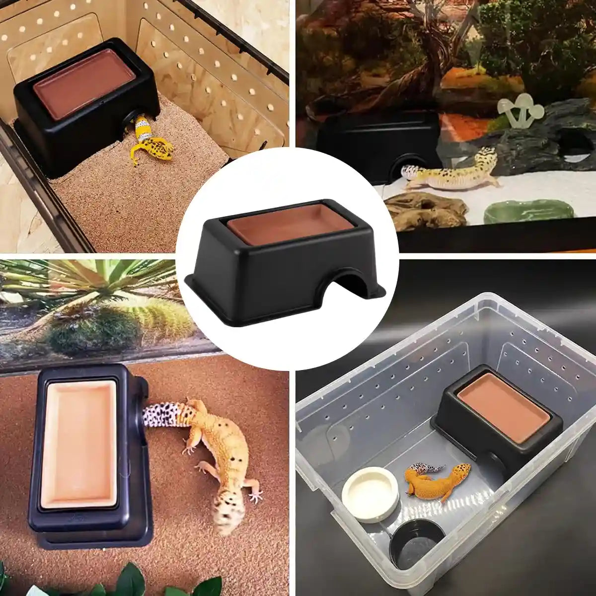 Reptile Cave Moist Humid Shelter for Leopard Gecko & Small Pets