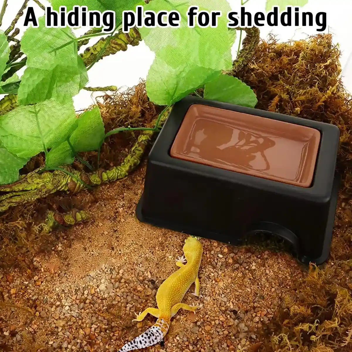 Reptile Cave Moist Humid Shelter for Leopard Gecko & Small Pets