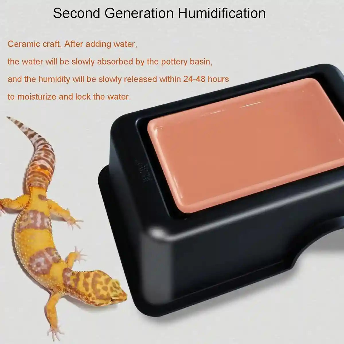 Reptile Cave Moist Humid Shelter for Leopard Gecko & Small Pets