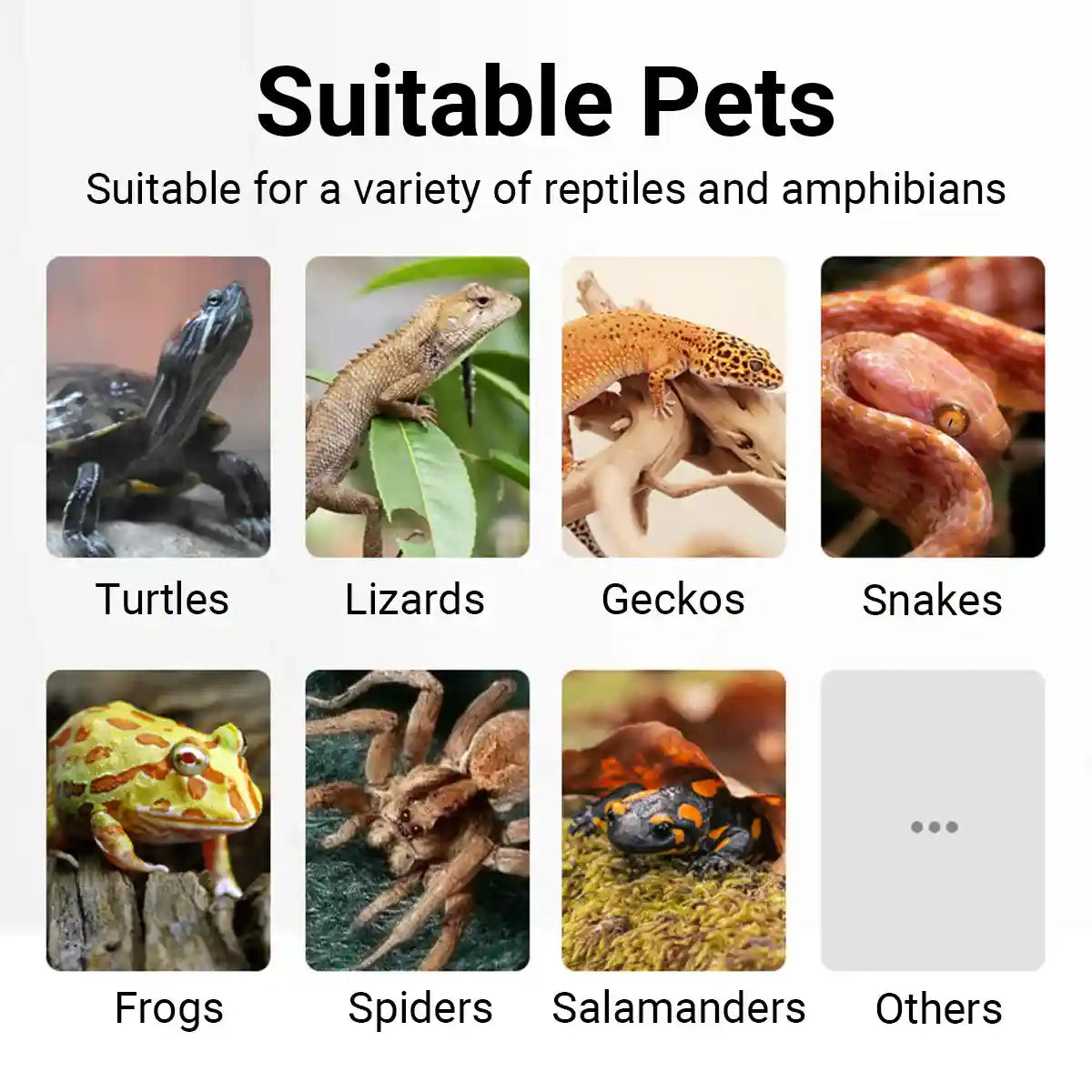 Climbing Pet Rainforest Landscape Moss Carpet Pet Horned Frog Pad