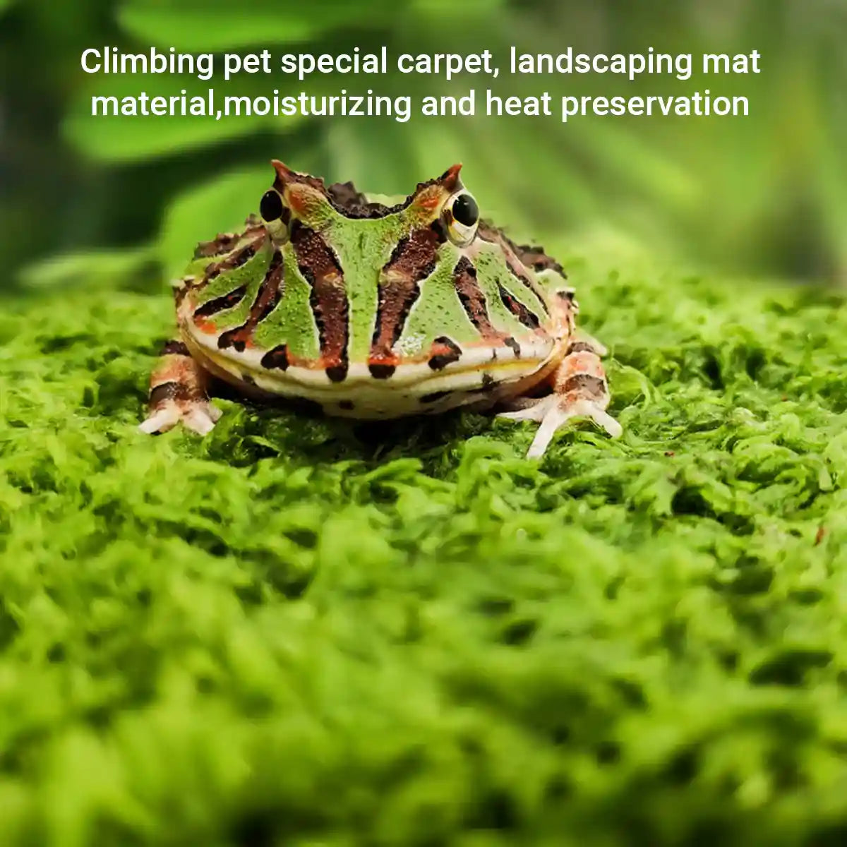 Climbing Pet Rainforest Landscape Moss Carpet Pet Horned Frog Pad