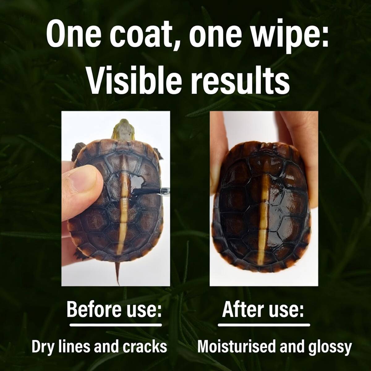 Turtle Shell Oil - Bacteriostatic Moisturizing Tortoise Care