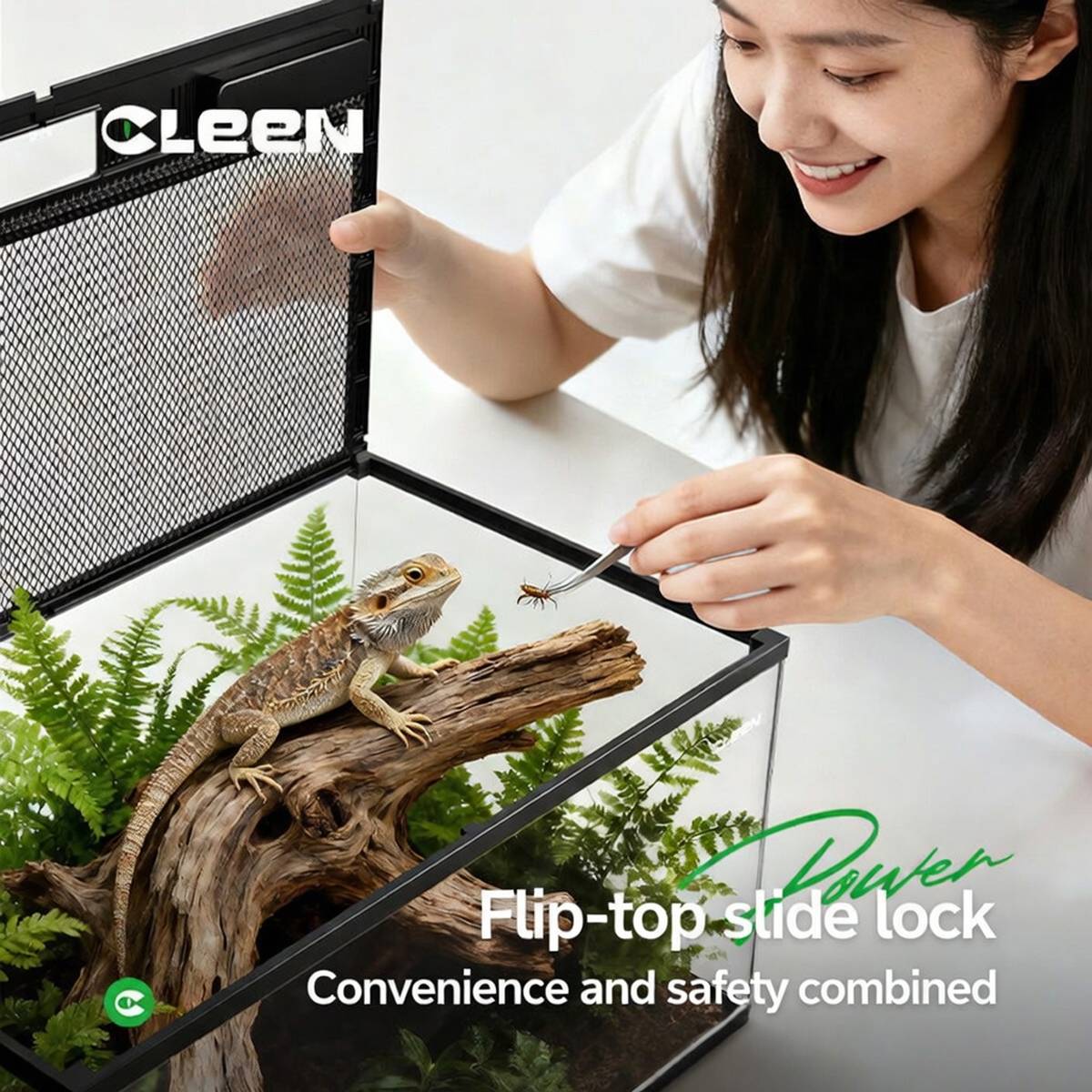 Reptile Terrarium - Cleen Climbing Pet Landscape Vivarium Tank