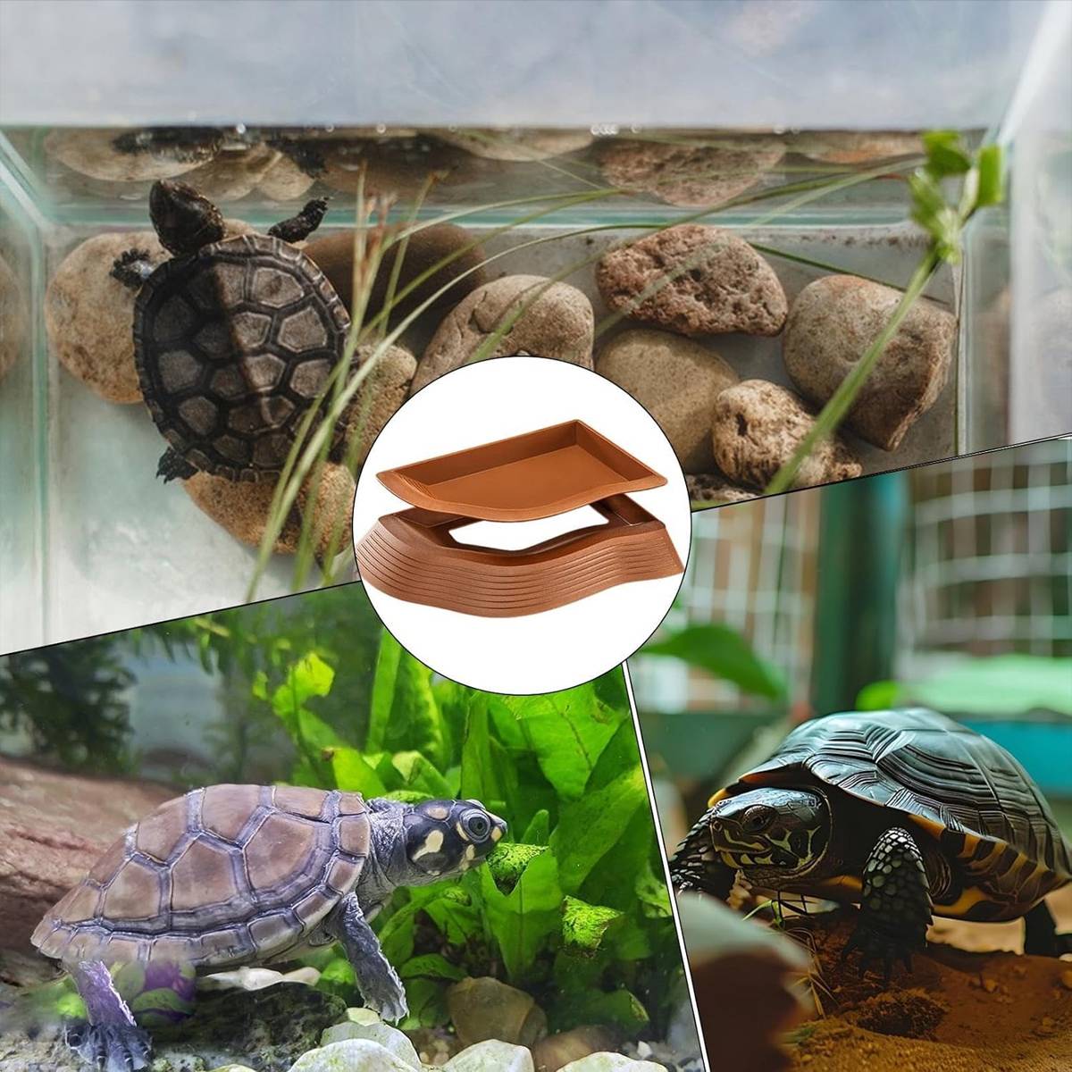 Reptile Basking Platform - Floating Turtle Frog Gecko Habitat (S)