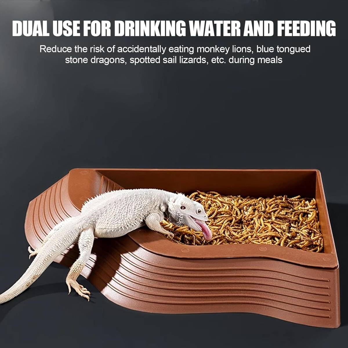 Reptile Basking Platform - Floating Turtle Frog Gecko Habitat (S)