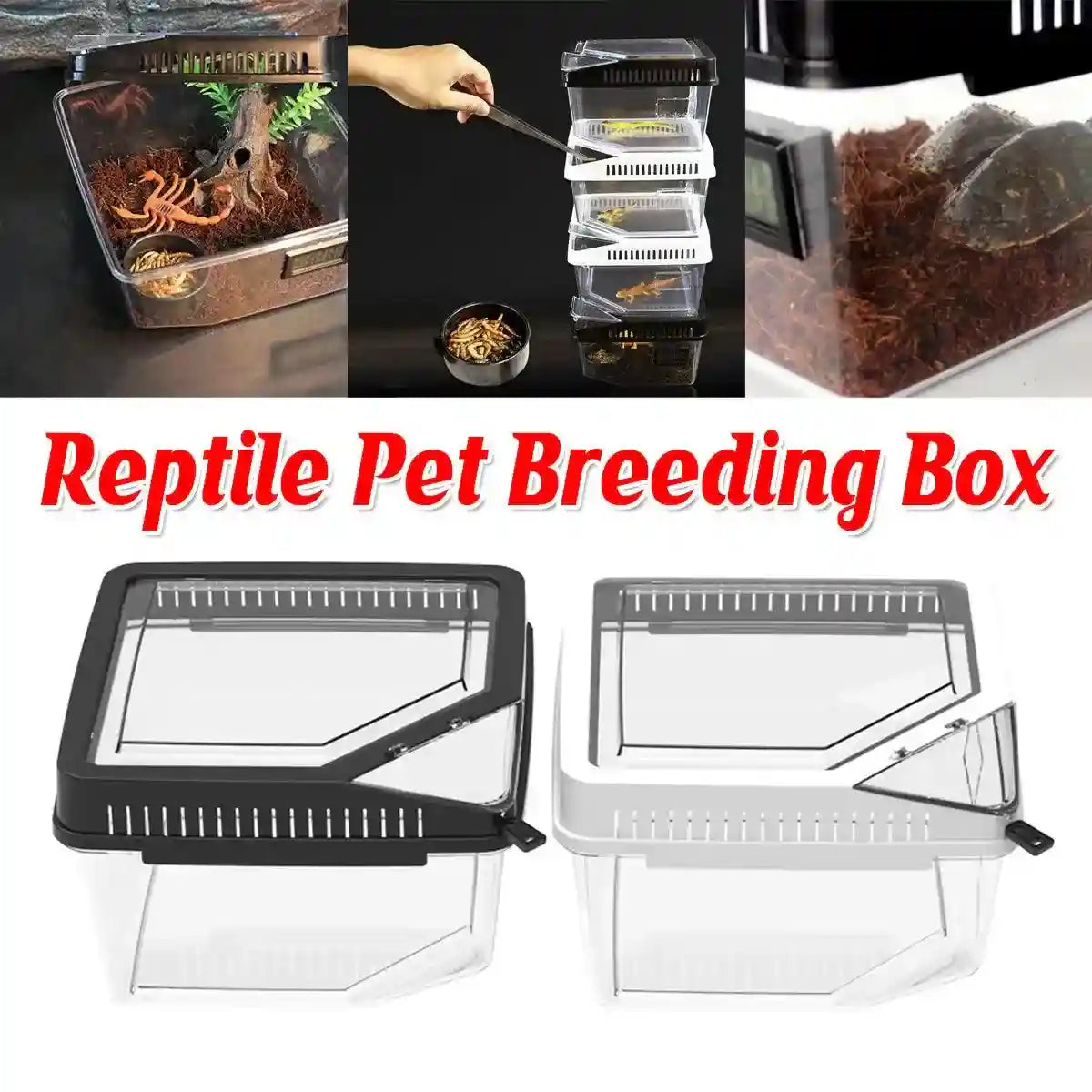 Clear Reptile Feeder Box With Locking Lid & Thermometer Slot