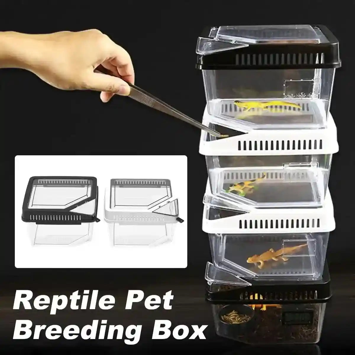 Transparent Reptile Feeder Box With Locking Lid
