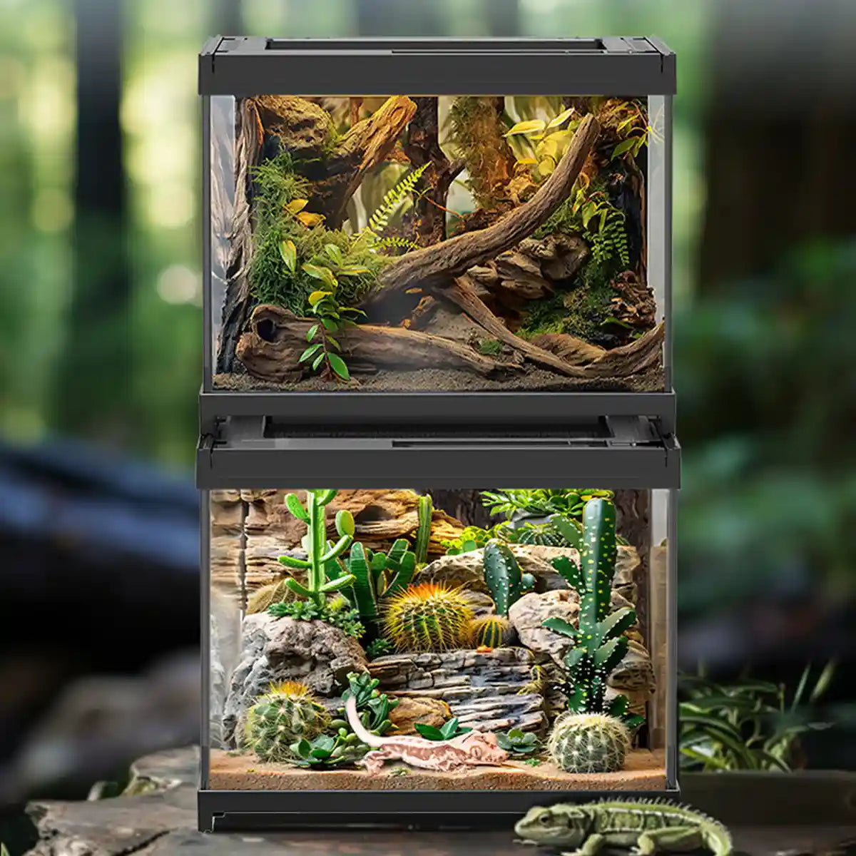 Glass Reptile Terrarium Habitat Tank