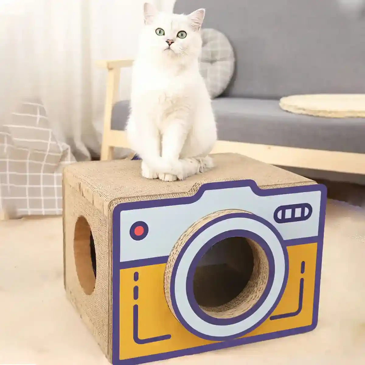 Retro Camera Style Cat Scratcher House