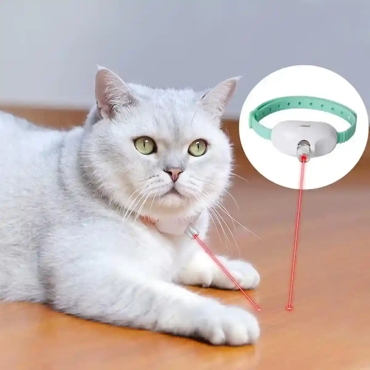 Collar Laser Teaser Interactive Cat Toy Pet Teasing Laser for Fun Play Exercise