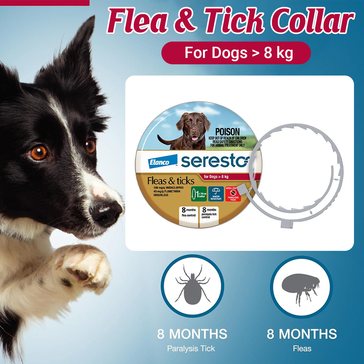 SERESTO Flea & Tick Collar for Medium to Large Dogs