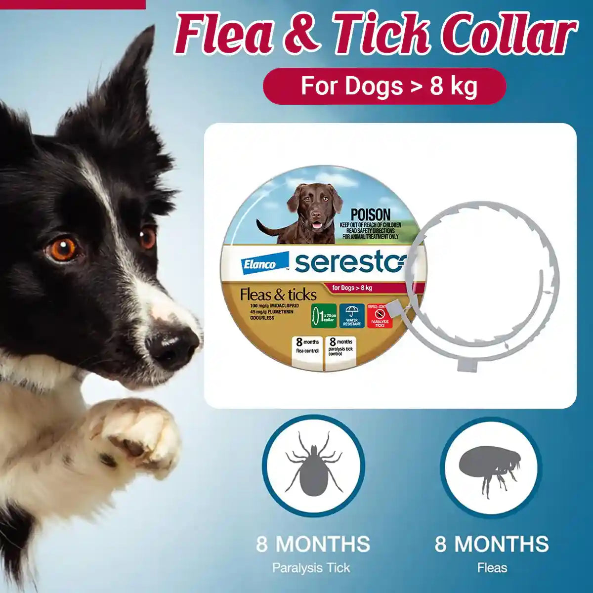 SERESTO Flea & Tick Collar for Medium to Large Dogs
