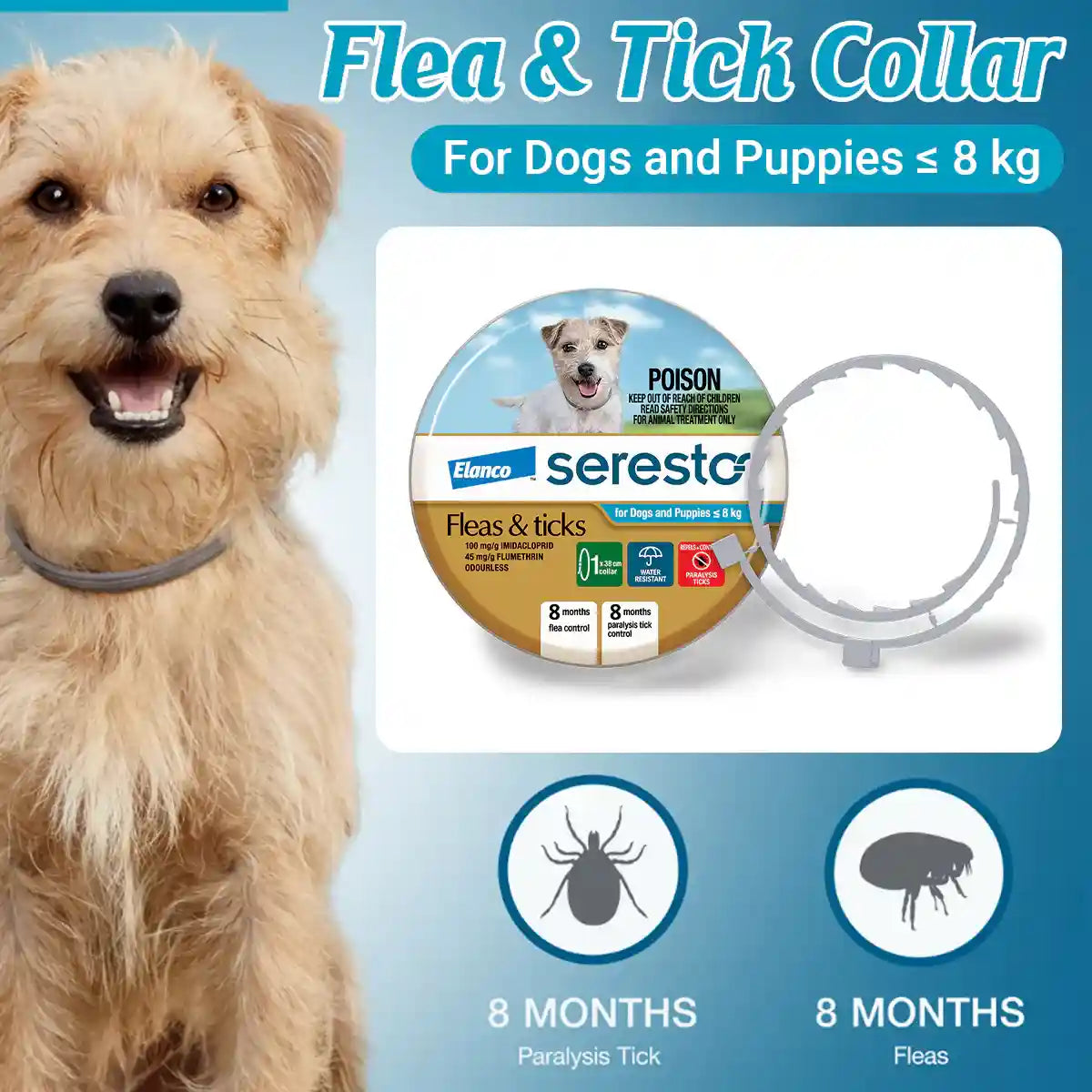 Seresto Flea & Tick Collar for Puppies and Small Dogs