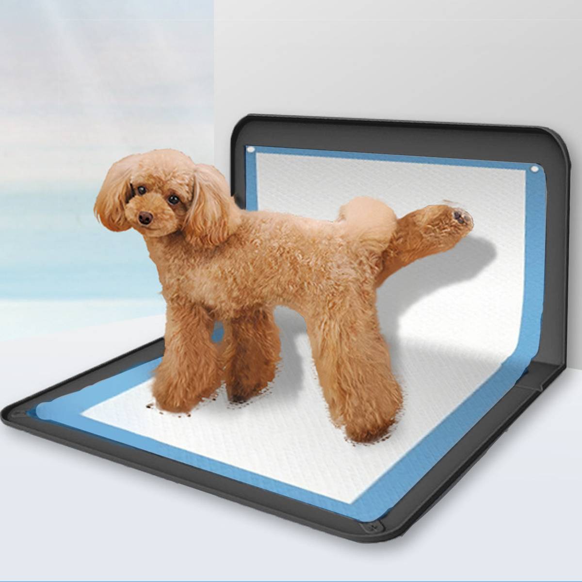 Dog Pee Pads - Reusable Washable Pet Urine Training Pads