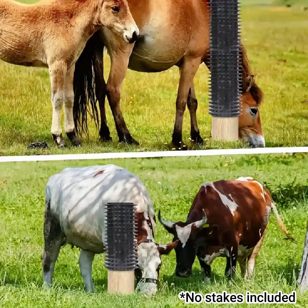 Durable Equine Scratching Pad for Horses and Cattle Grooming