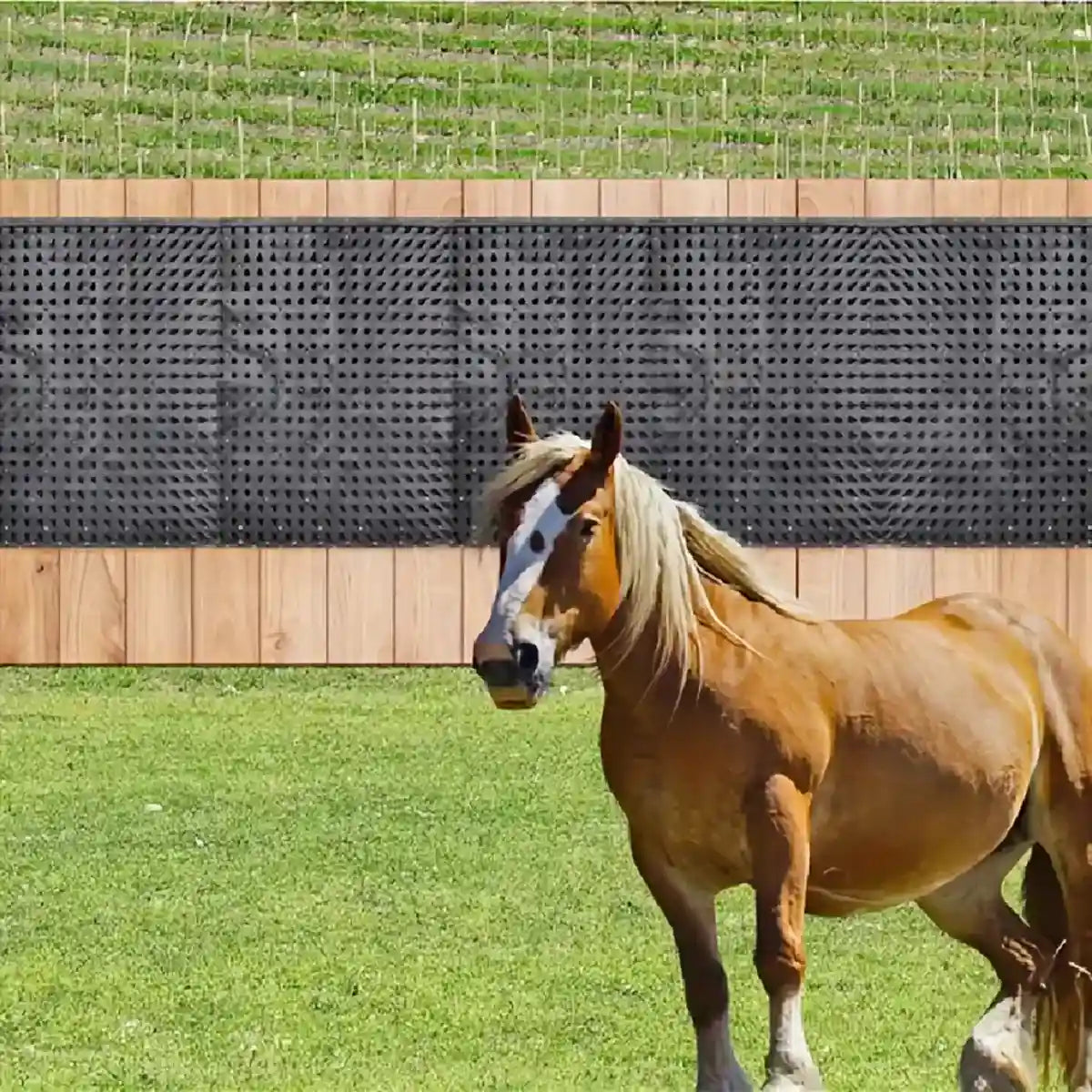 Durable Equine Scratching Pad for Horses and Cattle Grooming