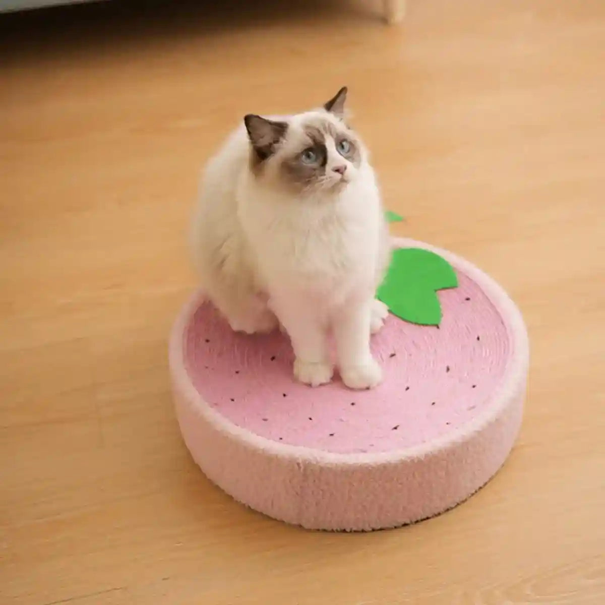 Cartoon-Inspired Cat Bed with Sisal Surface Multi-Use Cat Scratching Board