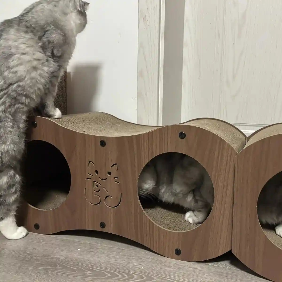 3-in-1 Cat Scratcher Tunnel House with Bed & Tunnel Walnut Colour