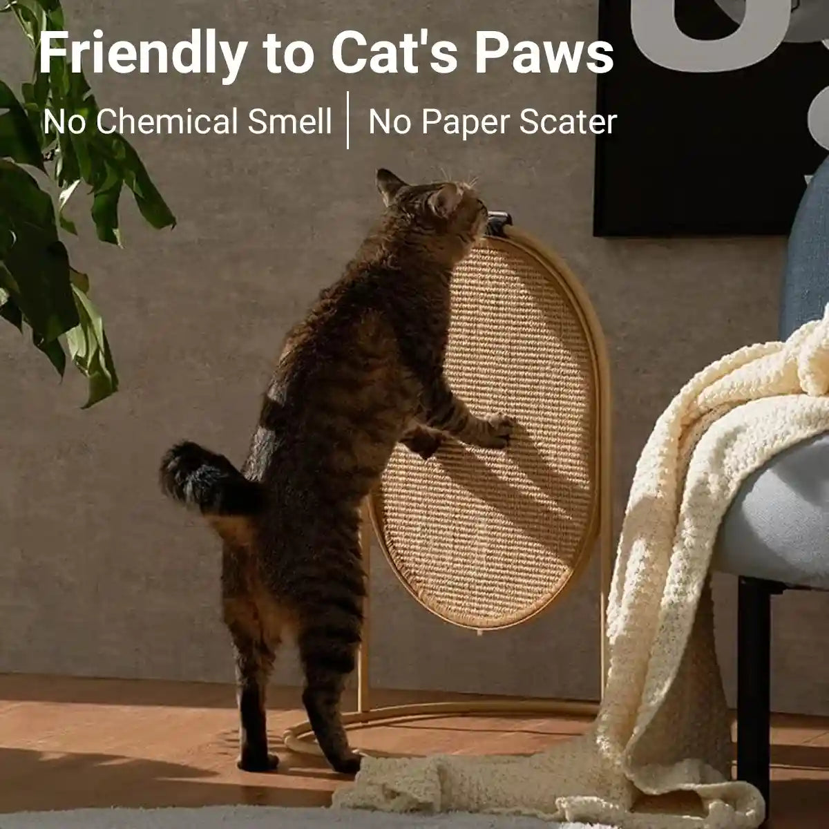 Multifunctional Cat Scratching Board with Replaceable Sisal Mat