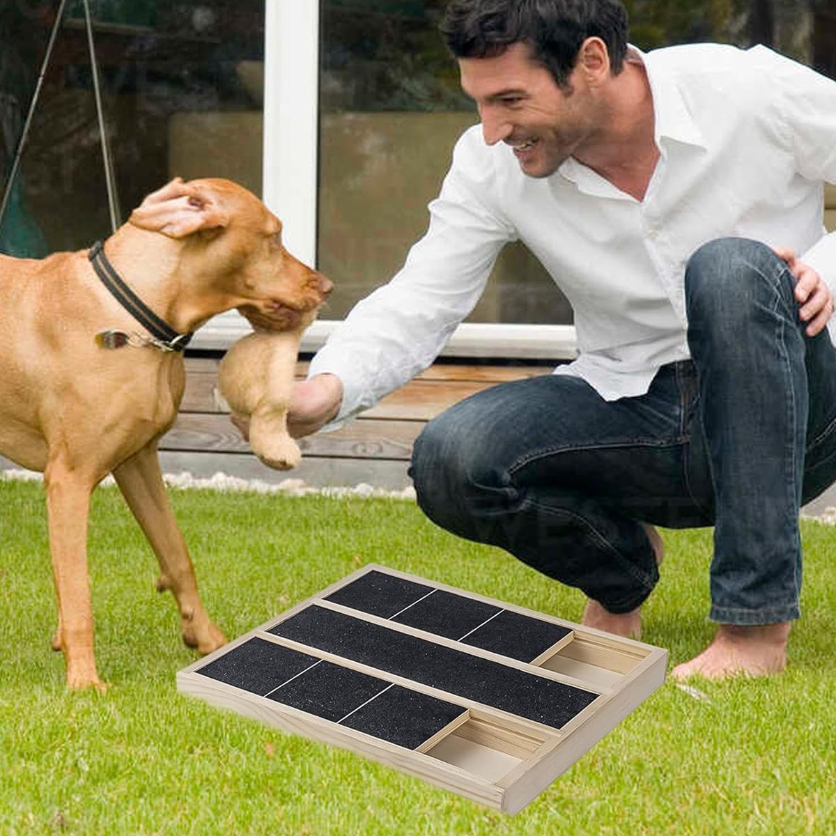 Dog Scratching Board - Pet Nail Filing Claw Grinder