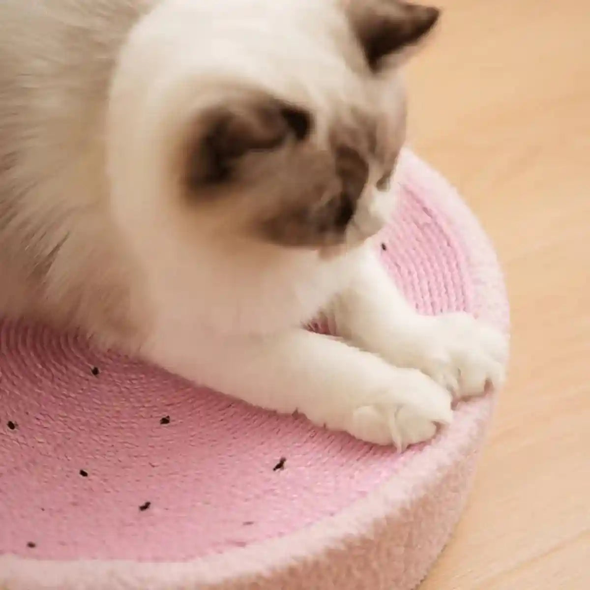 Cartoon-Inspired Cat Bed with Sisal Surface Multi-Use Cat Scratching Board