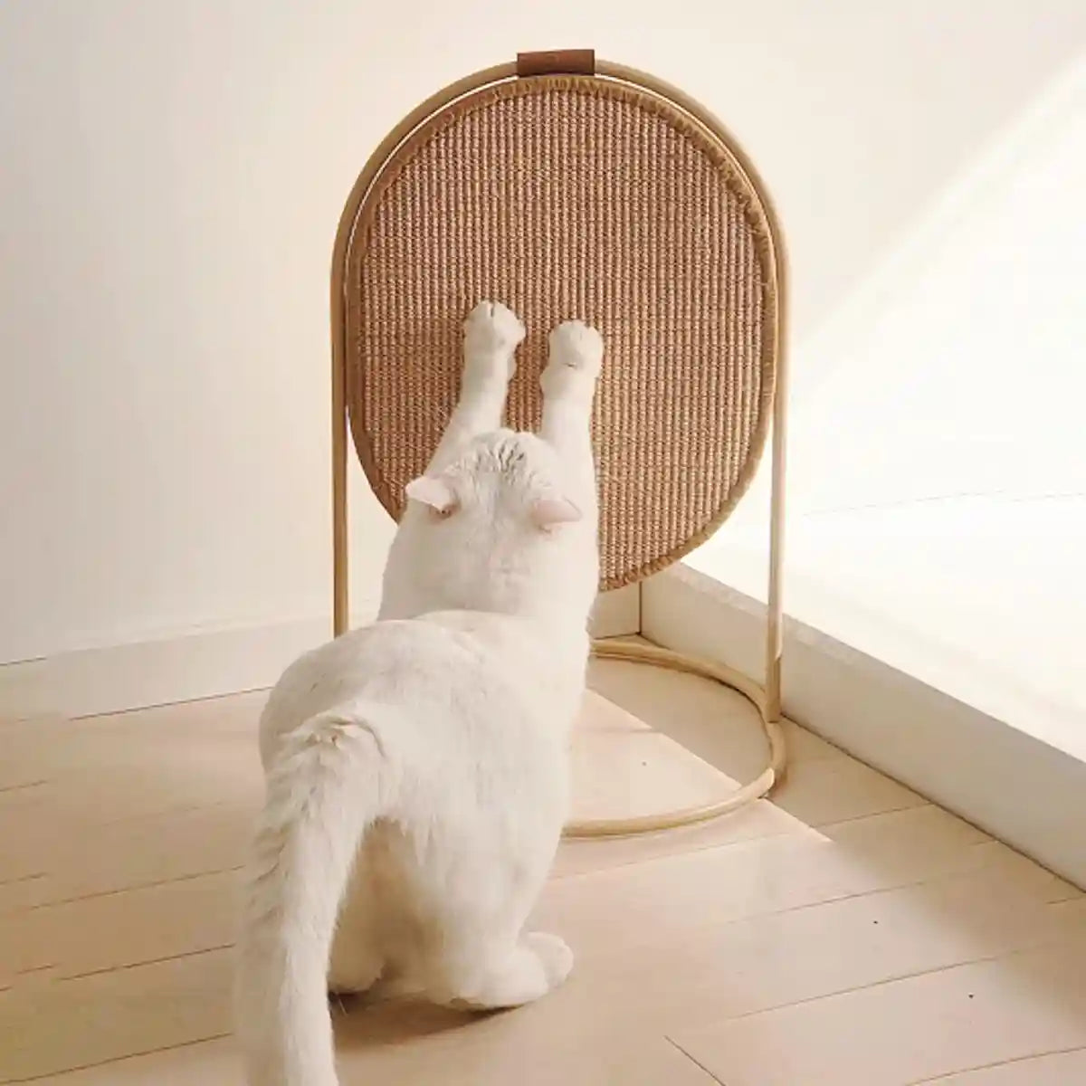 Multifunctional Cat Scratching Board with Replaceable Sisal Mat