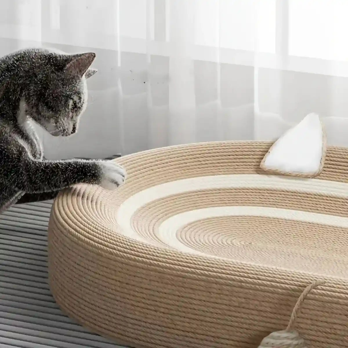 Oval Sisal Cat Scratching Bed with Ball Toy and Ears Design