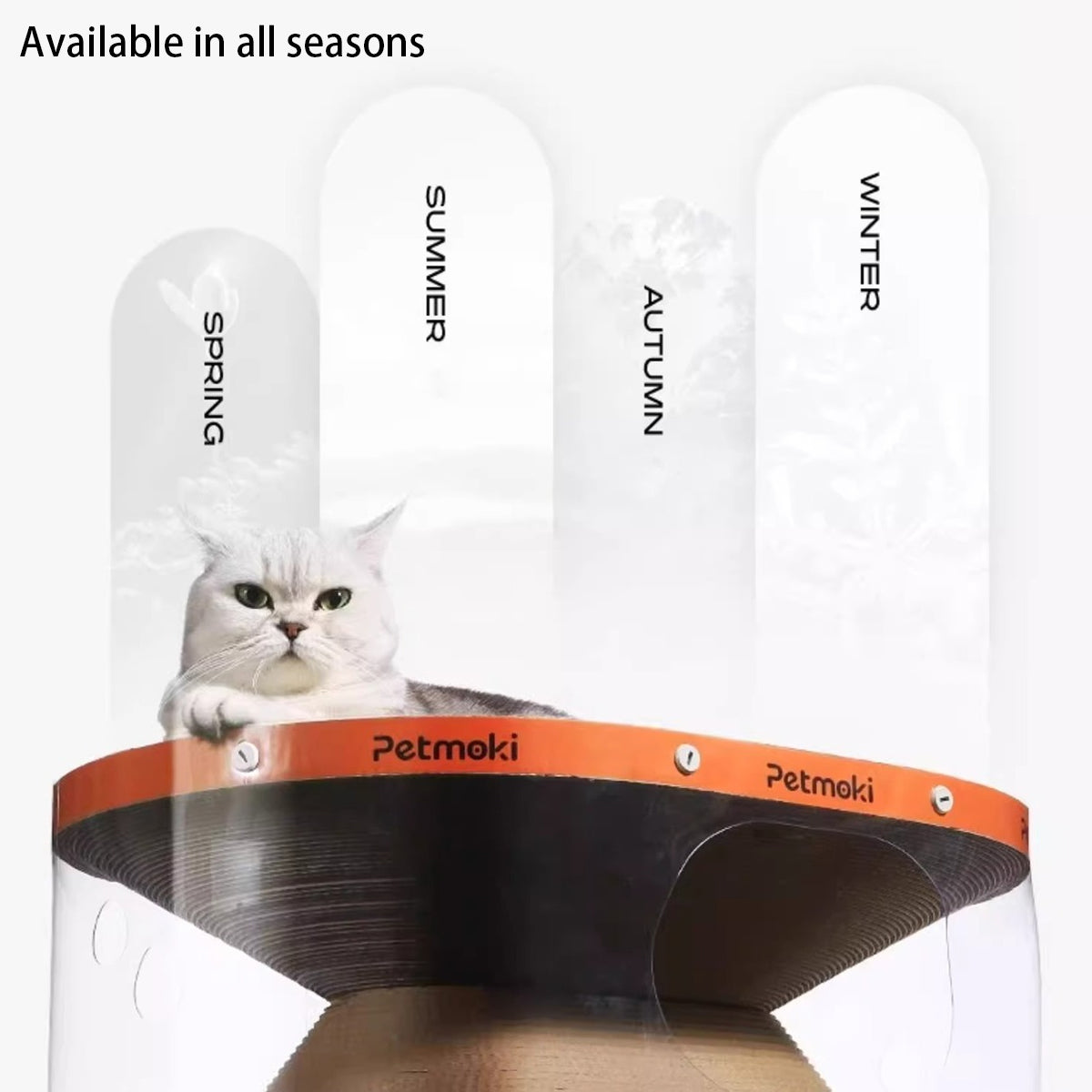 2-In-1 Cat Tunnel Bed With Scratcher Board
