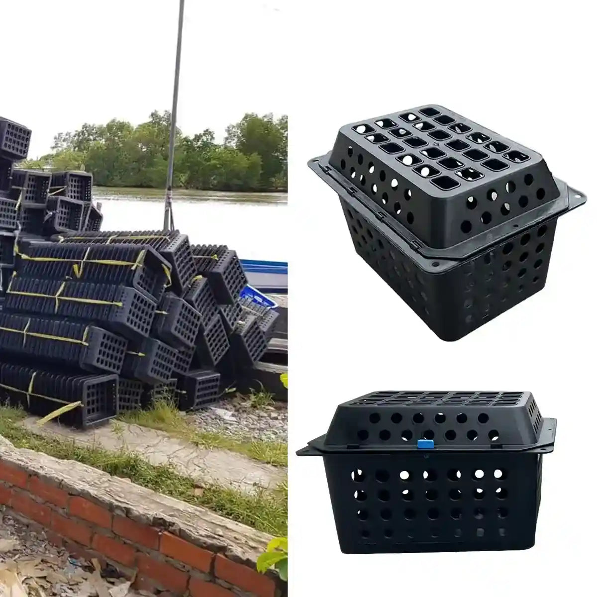 Aquaculture Seafood Breeding Cage for Crabs & Shellfish