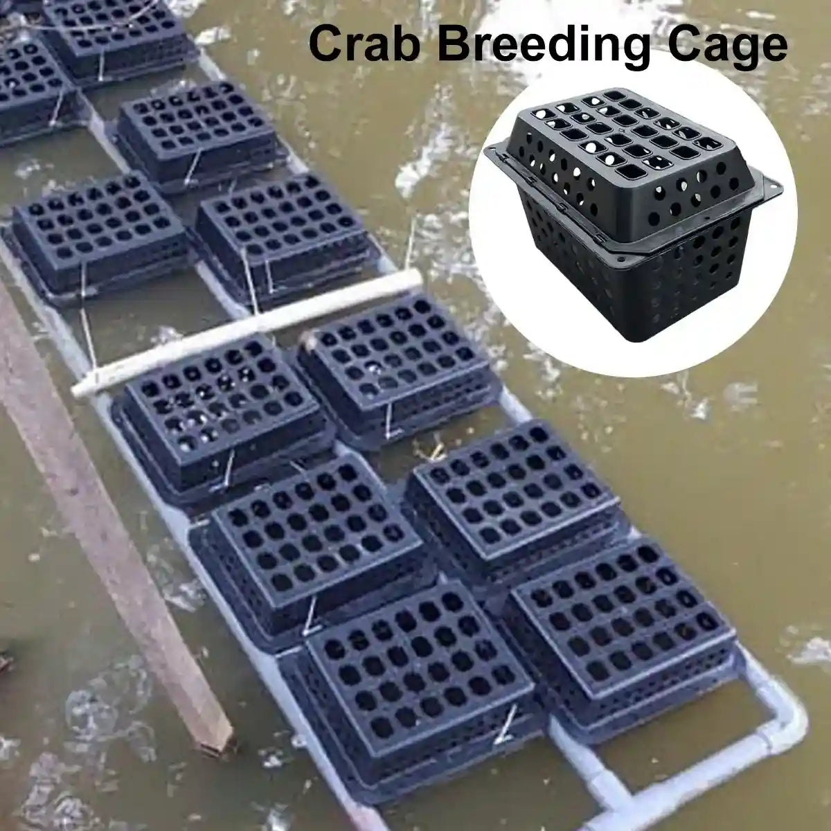 Aquaculture Seafood Breeding Cage for Crabs & Shellfish