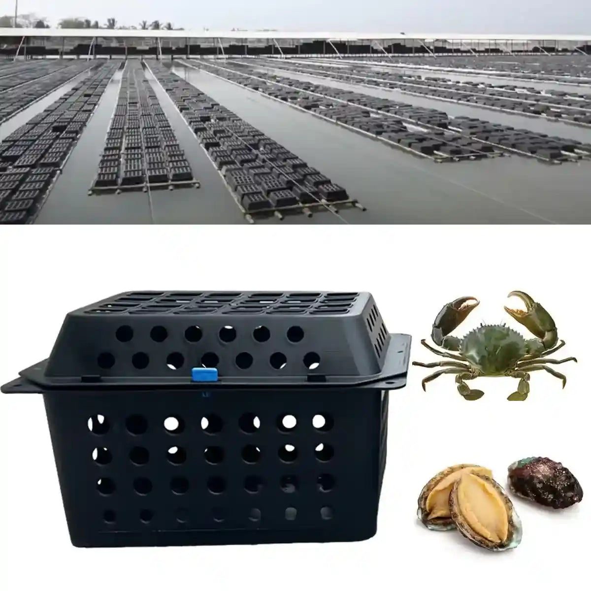 Aquaculture Seafood Breeding Cage for Crabs & Shellfish