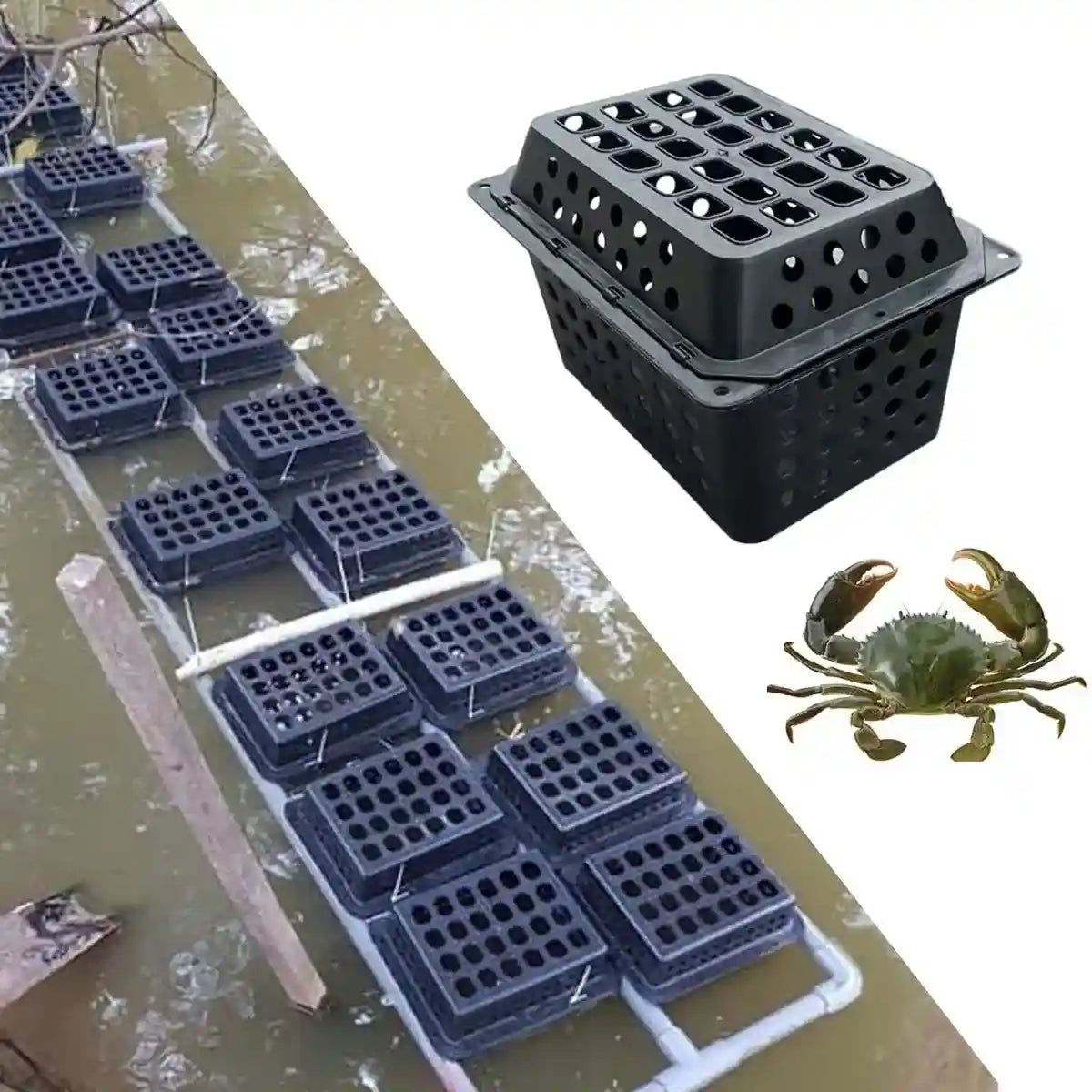 Aquaculture Seafood Breeding Cage for Crabs & Shellfish