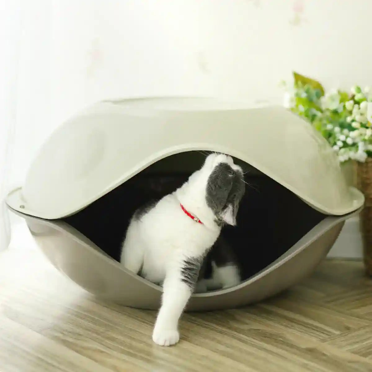 Semi Enclosed Eggshell Cat Bed for Indoor Use