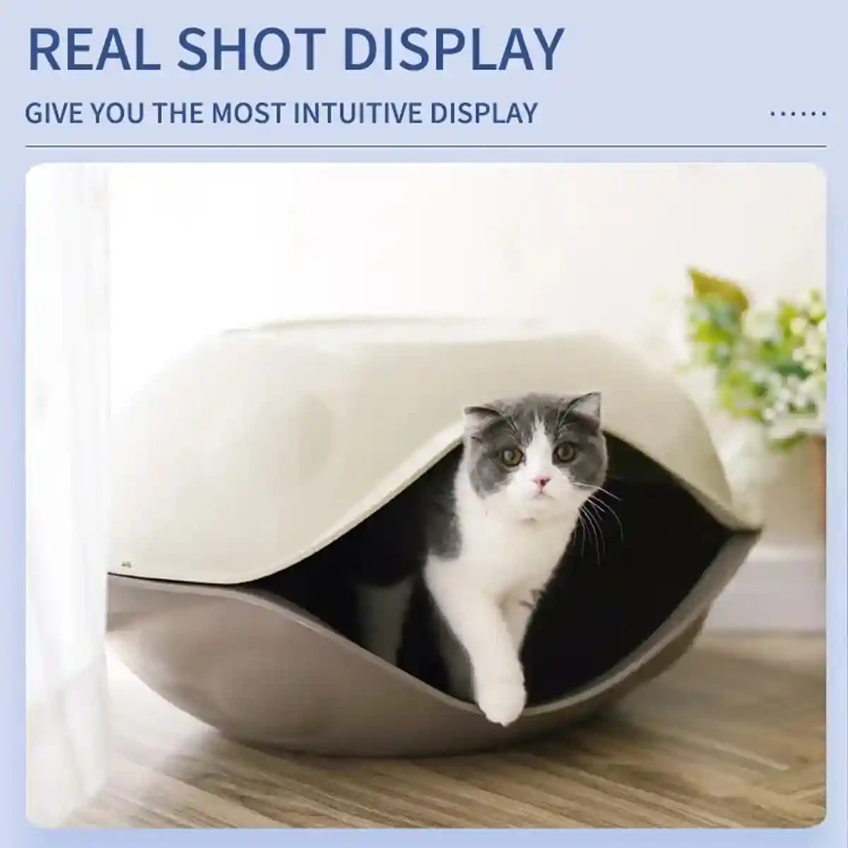 Semi Enclosed Eggshell Cat Bed for Indoor Use