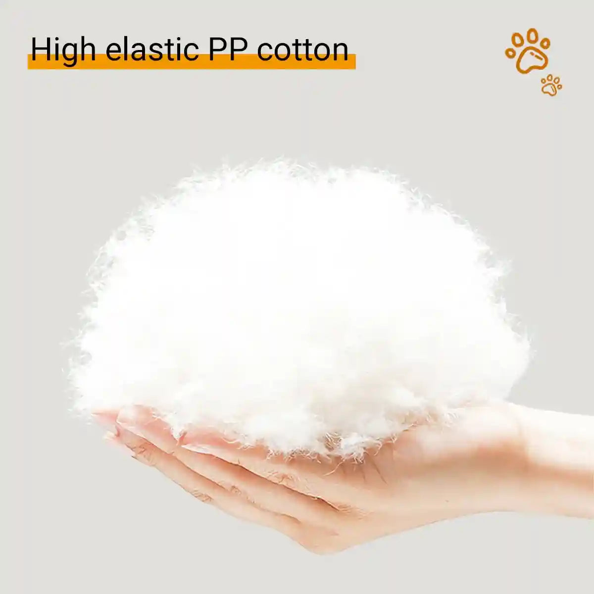 Shark Cat Cave Bed with Plush Cushion for Small Pets