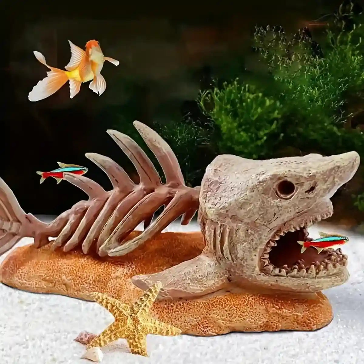 Shark Skeleton Resin Decor â Aquarium Ornament for Dramatic Aquascapes
