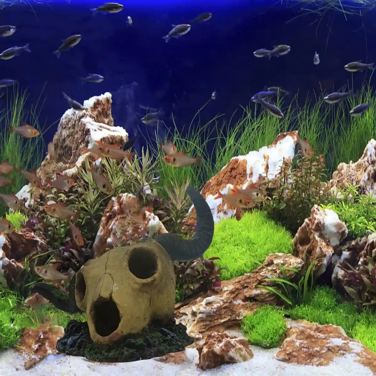 Resin Skull Aquarium Decoration Horror Style Fish Tank & Reptile Ornament