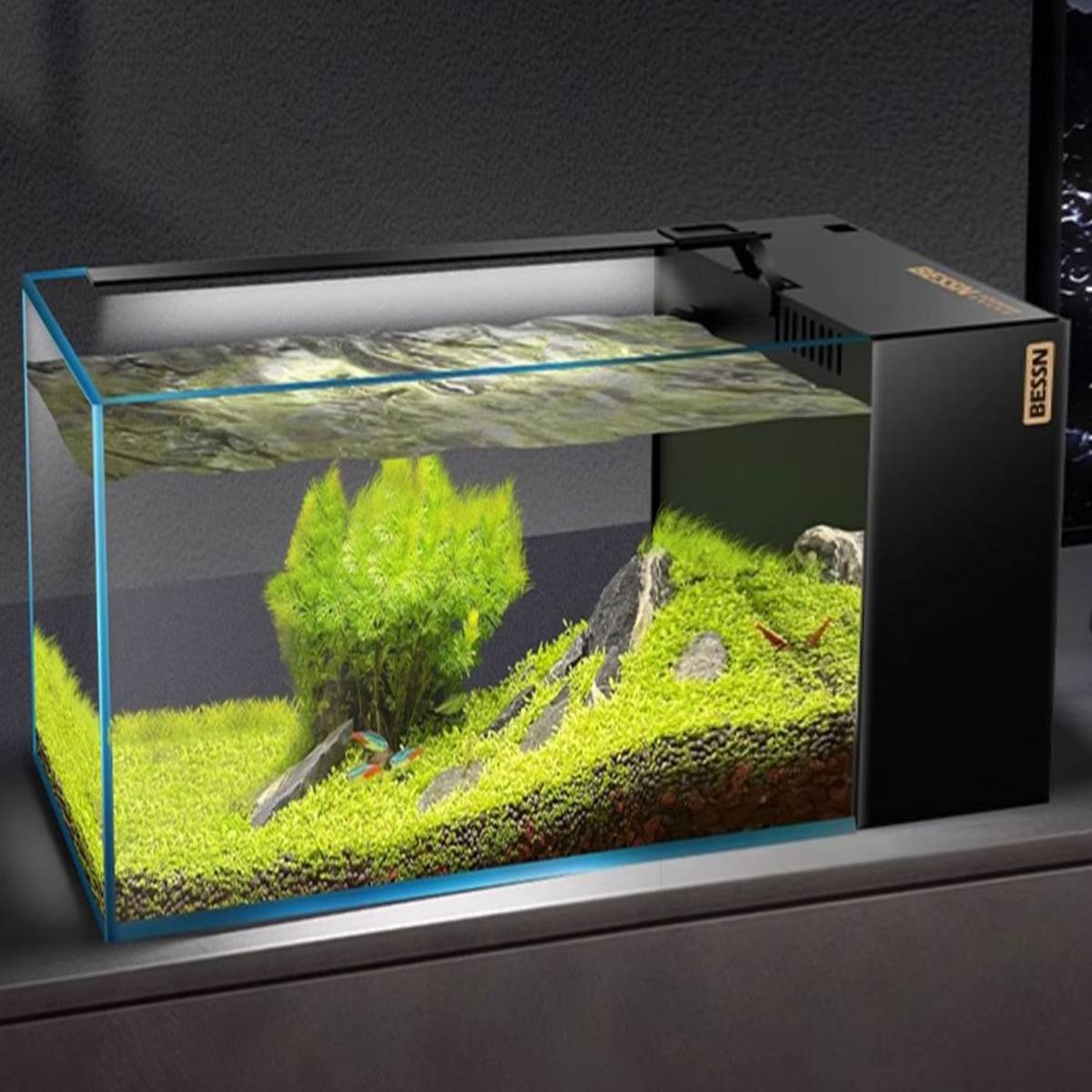 Side Filter Fish Tank - BESSN 50x30 New Generation Aquarium Set