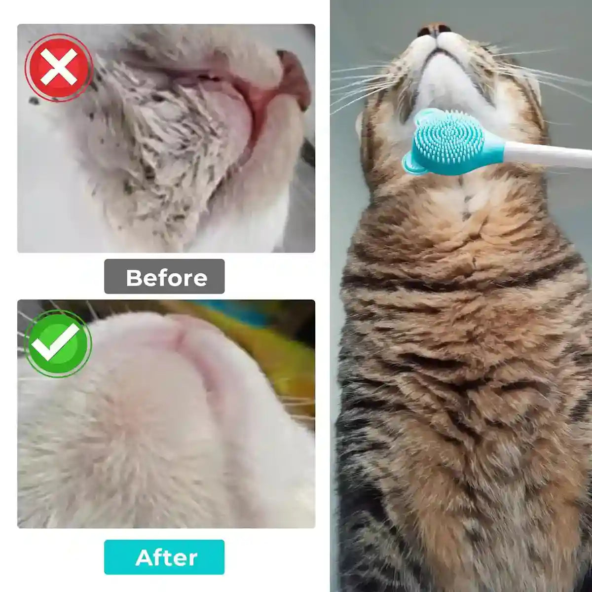 Pet Brush Silicone Exfoliating Tool