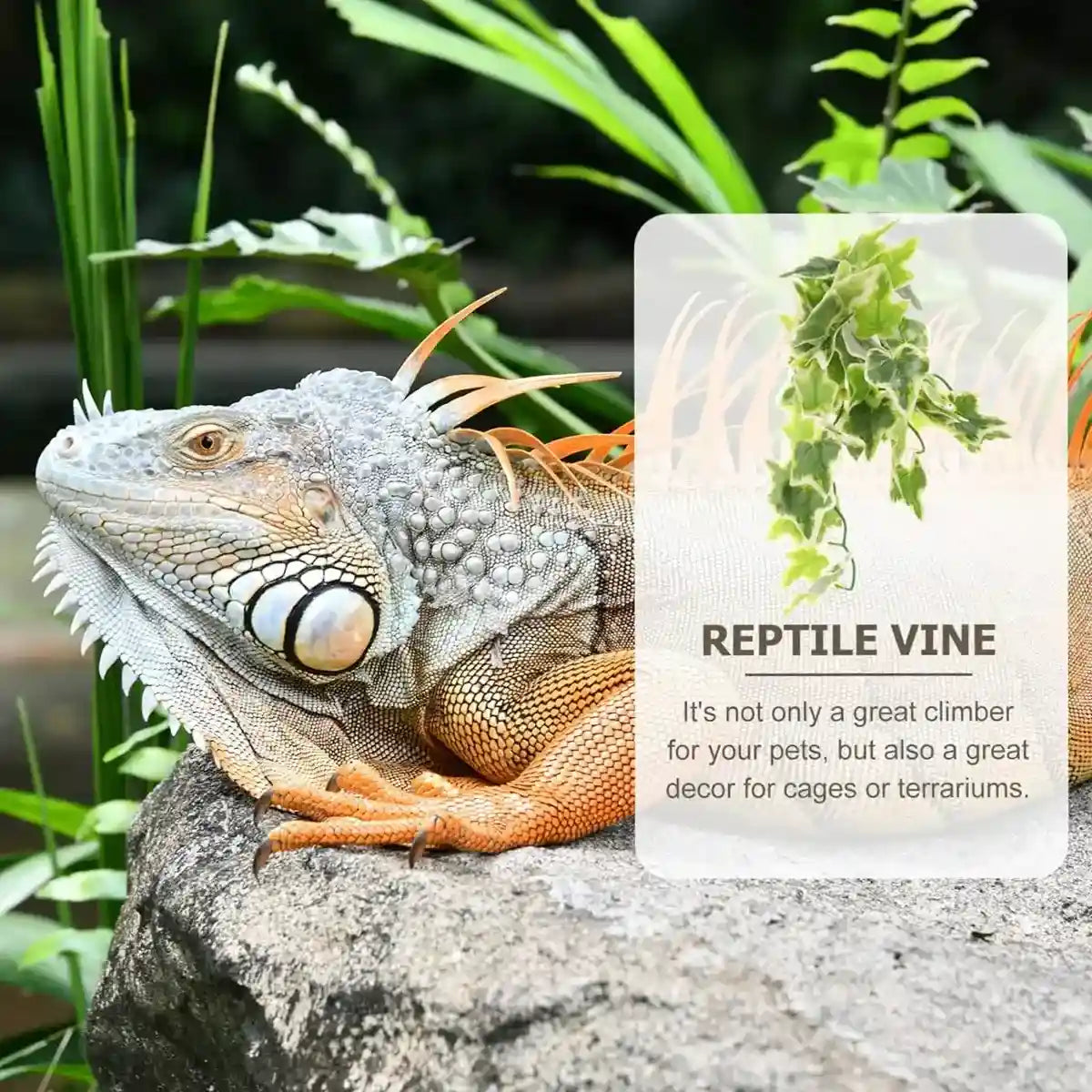 Reptile Habitat Artificial Ivy Vine for Terrariums and Cages